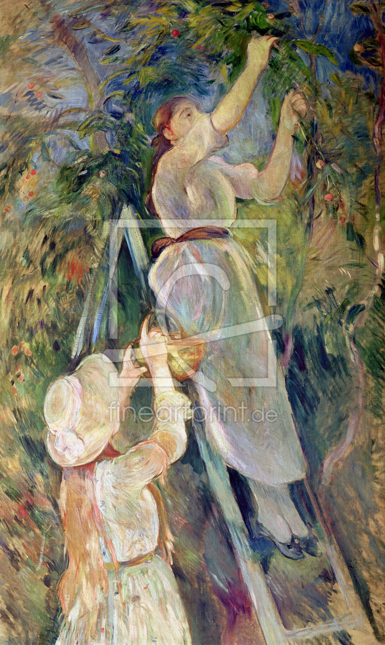 Bild-Nr.: 31000932 The Cherry Picker erstellt von Morisot, Berthe