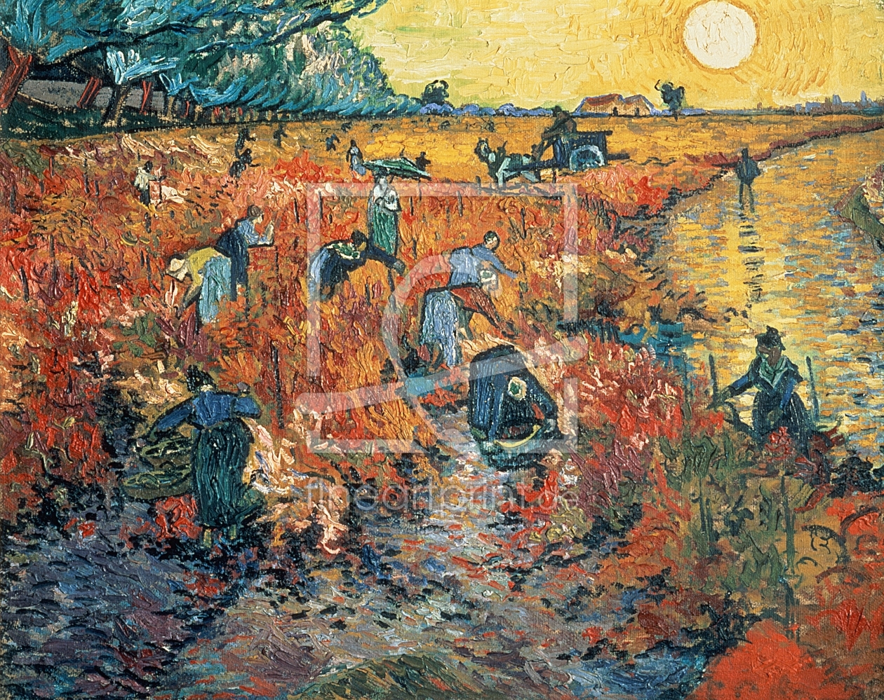 Bild-Nr.: 31001369 Red Vineyards at Arles, 1888 erstellt von van Gogh, Vincent