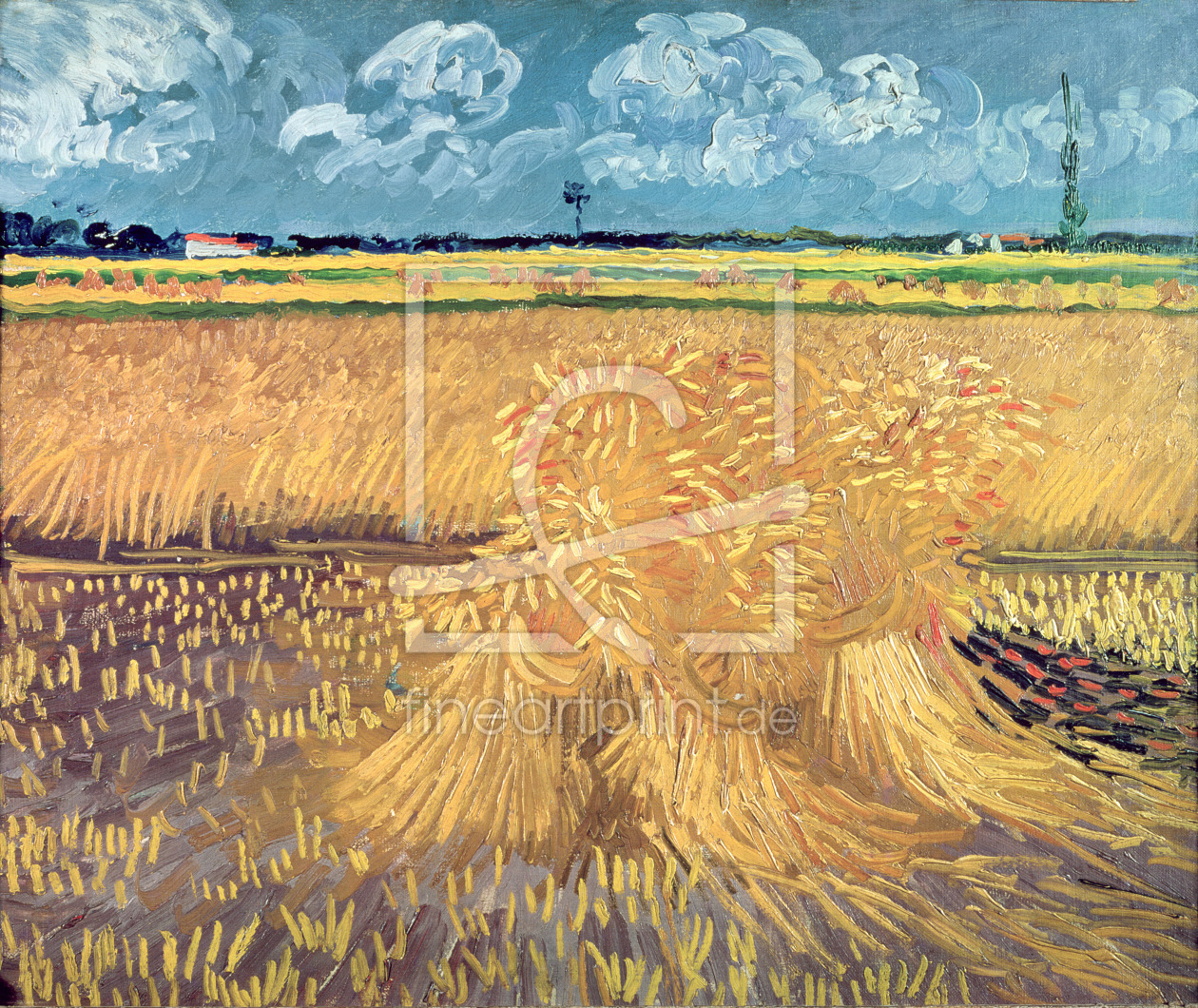 Bild-Nr.: 31001377 Wheatfield with Sheaves, 1888 erstellt von van Gogh, Vincent