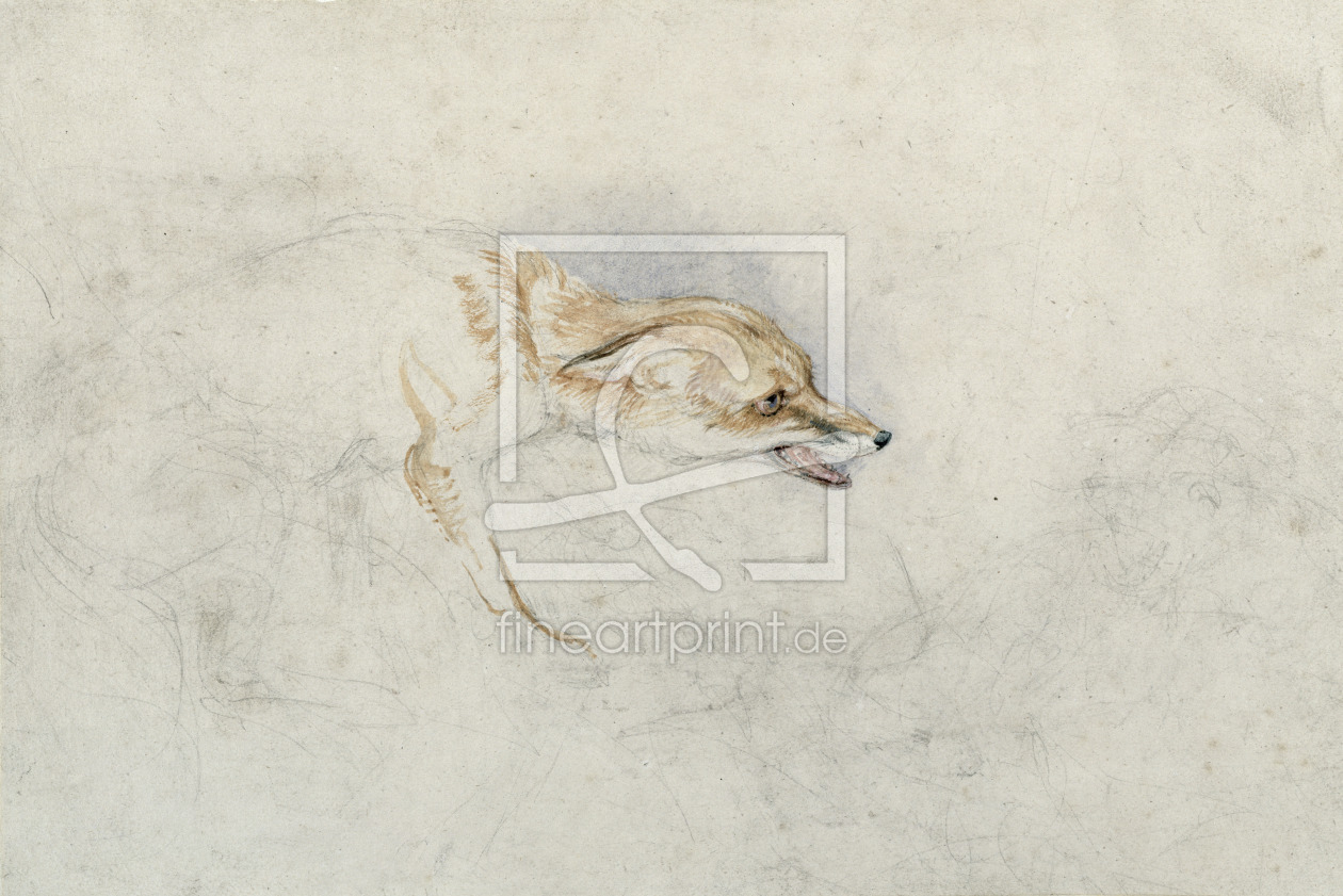 Bild-Nr.: 31001520 Study of a crouching Fox, facing right verso: faint sketch of fox's head and tai erstellt von Lewis, John Frederick