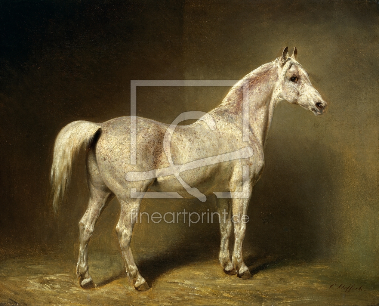 Bild-Nr.: 31001529 'Beatrice', the white arab saddlehorse of Helmuth Graf von Moltke, 1855 erstellt von Steffeck, Carl Constantin