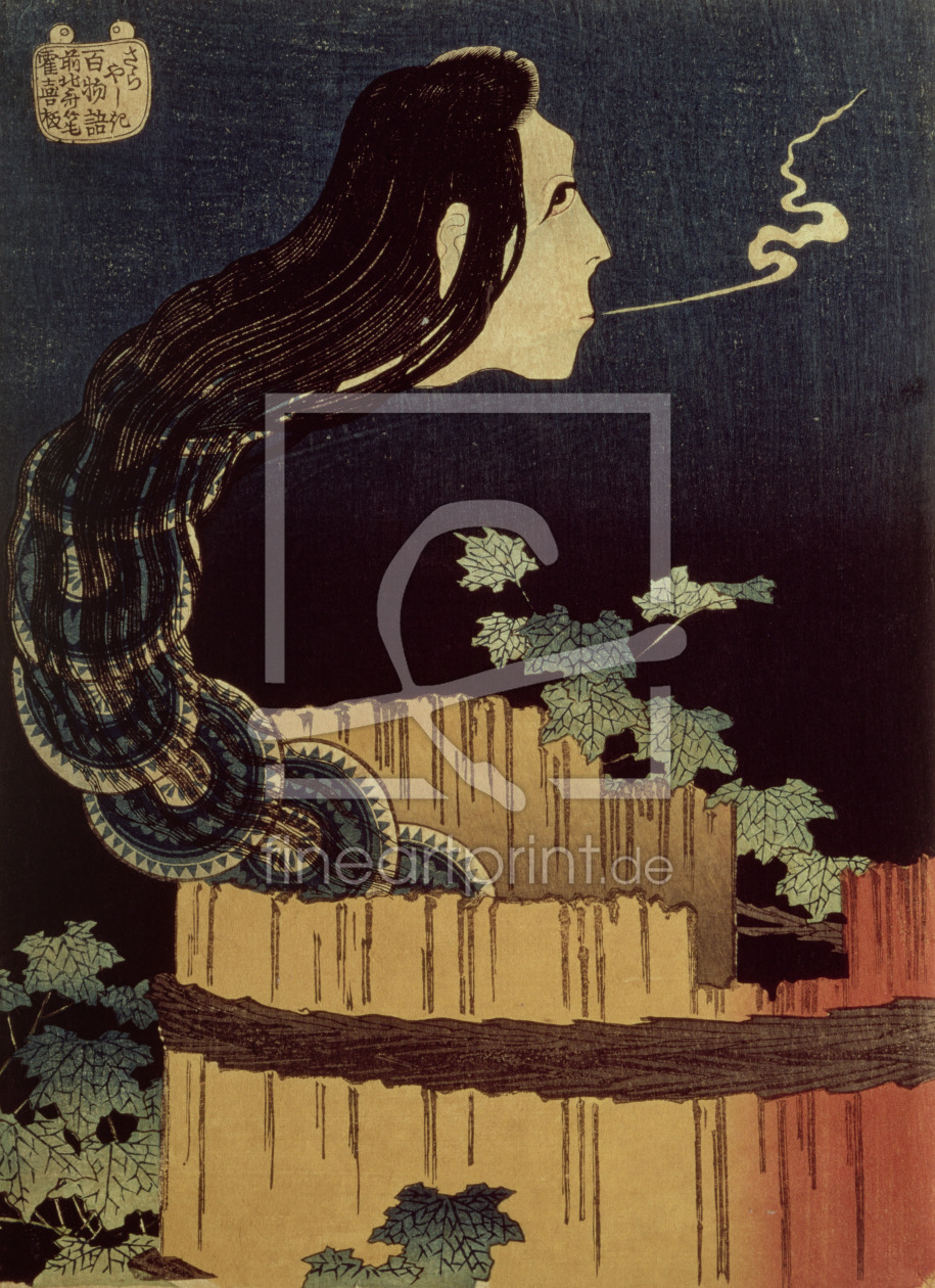 Bild-Nr.: 31001542 Japanese Ghost erstellt von Hokusai, Katsushika