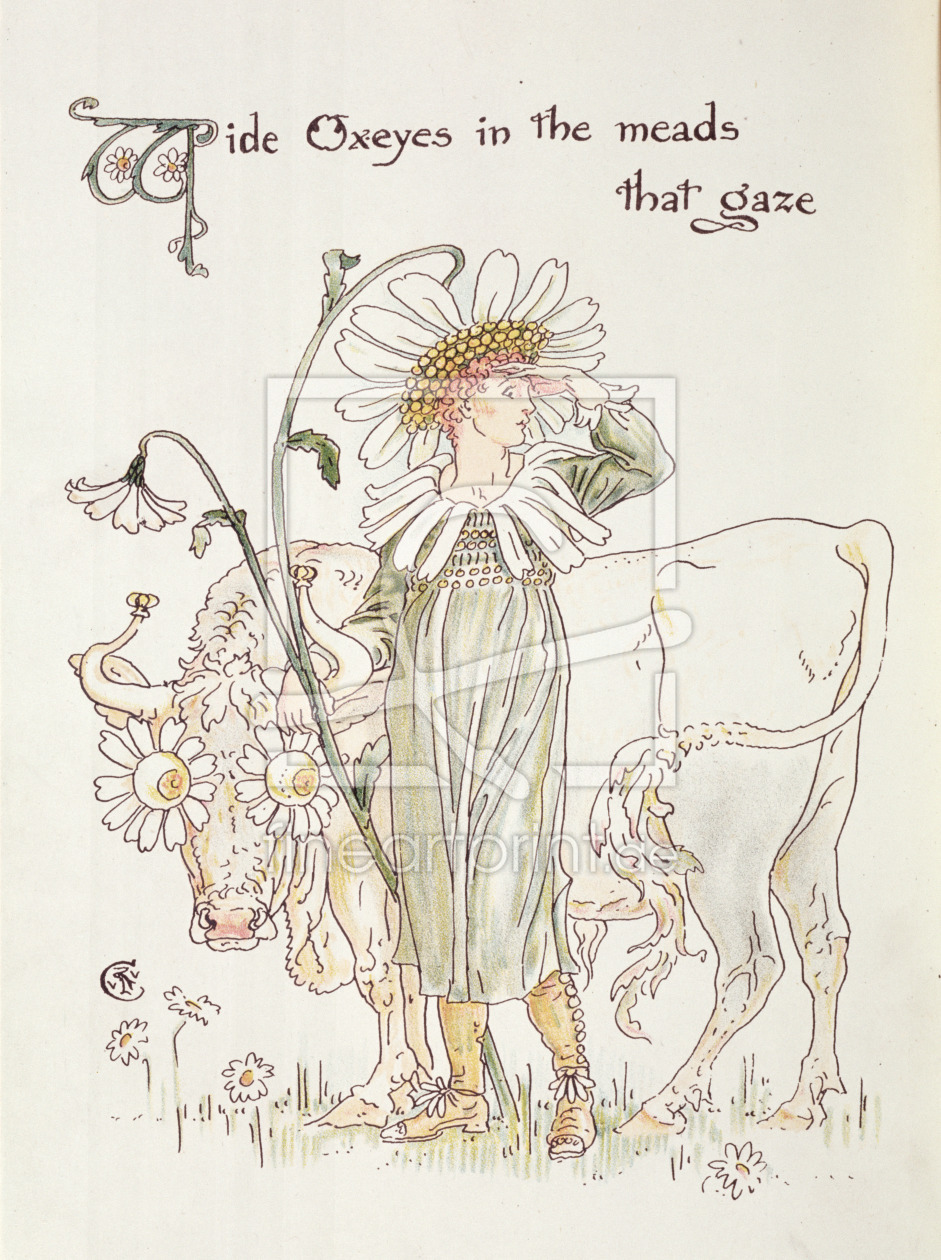 Bild-Nr.: 31001560 'Wild Oxeyes in Meads that Gaze', illustration to 'Flora's Feast, A Masque of Fl erstellt von Crane, Walter