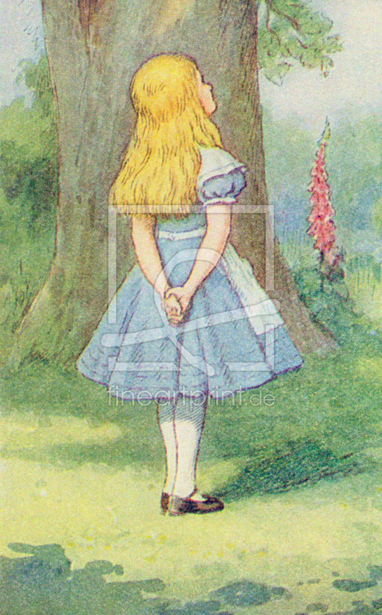 Bild-Nr.: 31001651 Alice and the Cheshire Cat, illustration from 'Alice in Wonderland' by Lewis Car erstellt von Tenniel, John