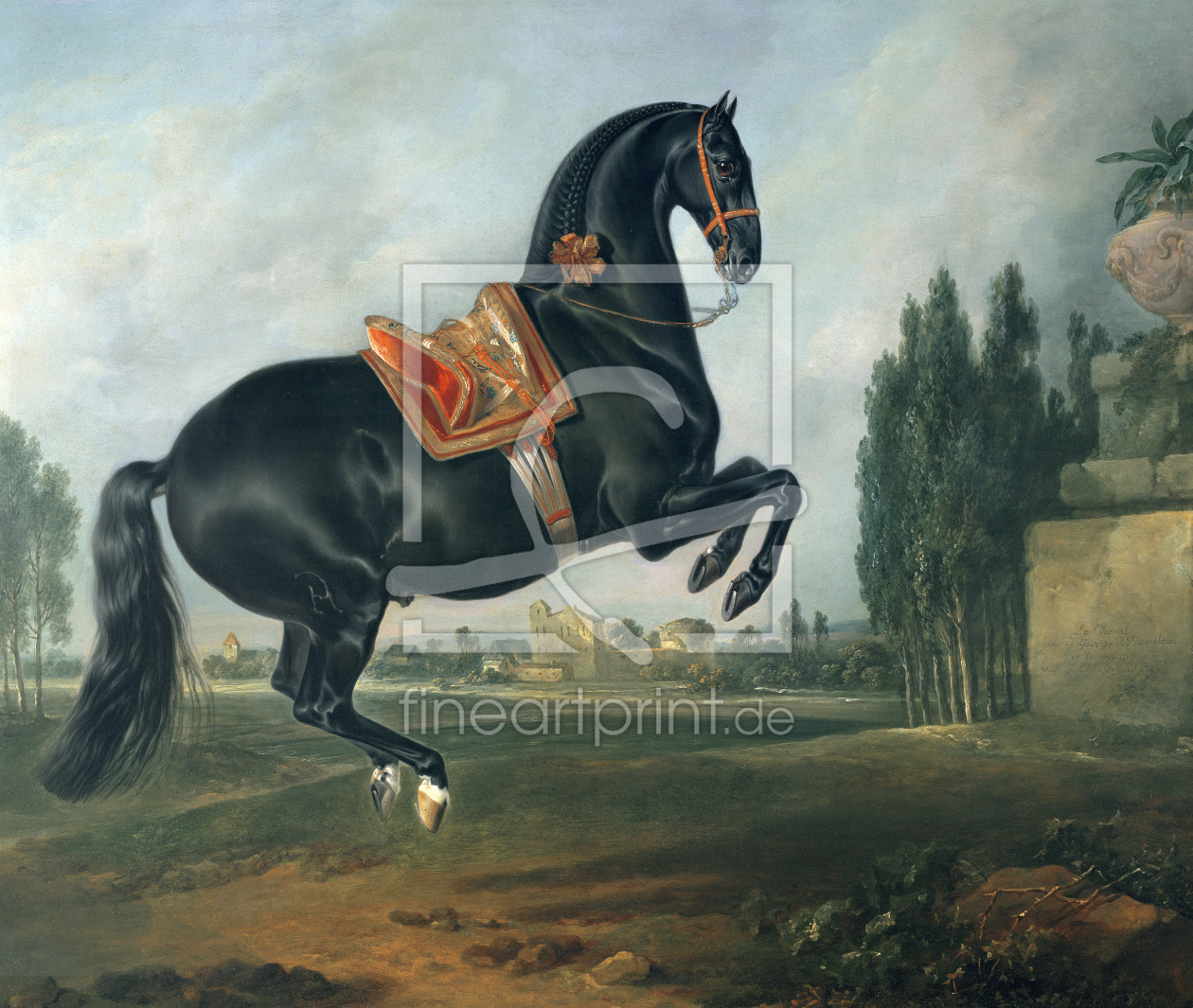 Bild-Nr.: 31001721 A black horse performing the Courbette erstellt von Hamilton, Johann Georg