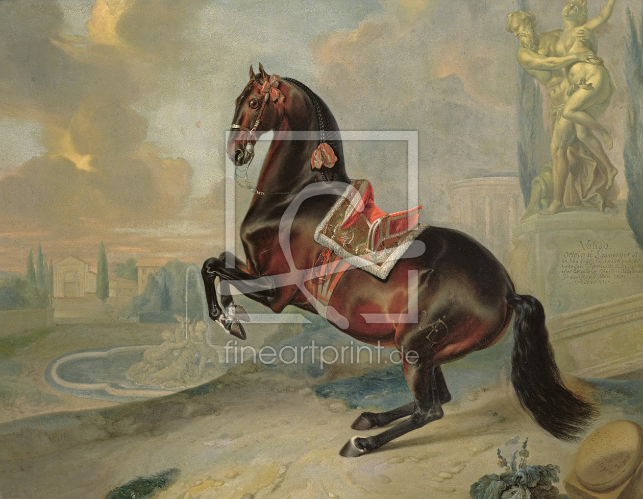 Bild-Nr.: 31001723 The dark bay horse 'Valido' performing a Levade movement erstellt von Hamilton, Johann Georg