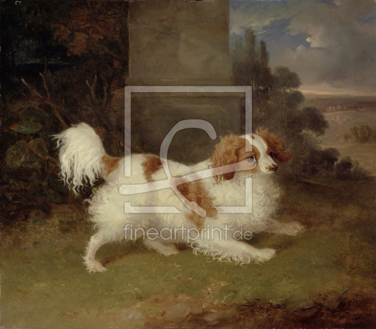 Bild-Nr.: 31001725 A Blenheim Spaniel, c.1820-30 erstellt von Webb, William