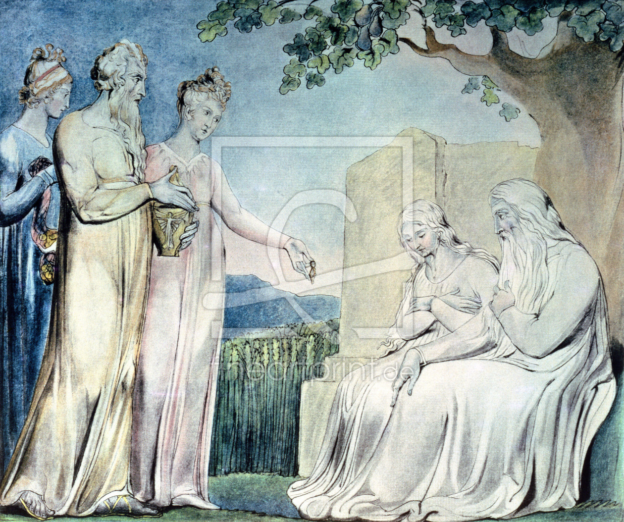 Bild-Nr.: 31001751 Illustrations of the Book of Job; Job accepting Charity, 1825 erstellt von Blake, William