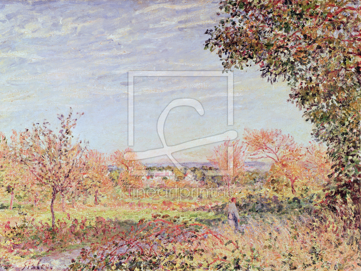 Bild-Nr.: 31002109 September Morning, c.1887 erstellt von Sisley, Alfred