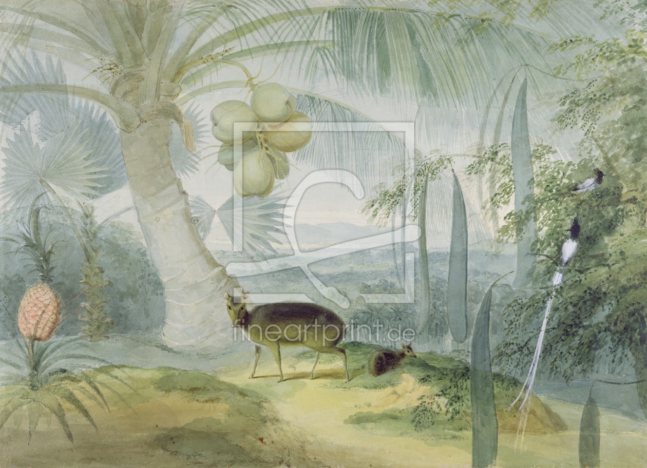 Bild-Nr.: 31002154 A Landscape in Ceylon, with Barking Deer and Fawn and a pair of Paradise Fly-Cat erstellt von Daniell, Samuel