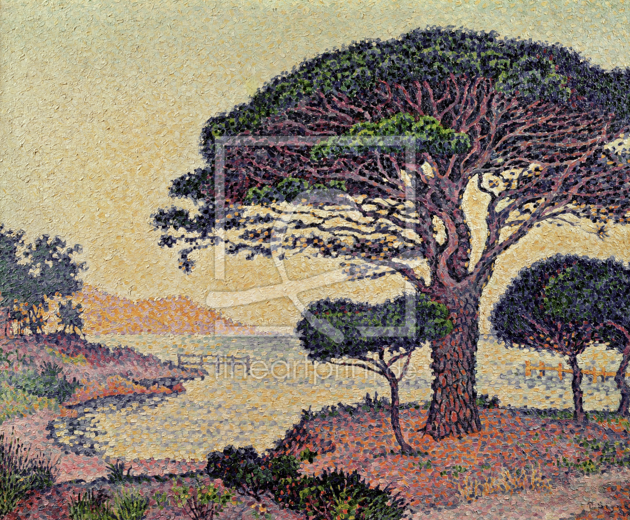 Bild-Nr.: 31002539 Umbrella Pines at Caroubiers, 1898 erstellt von Signac, Paul