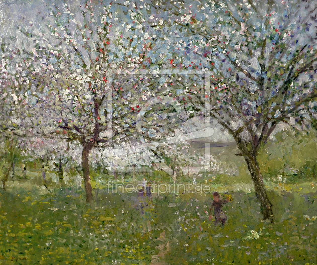 Bild-Nr.: 31002555 Apple Trees in Flower erstellt von Quost, Ernest