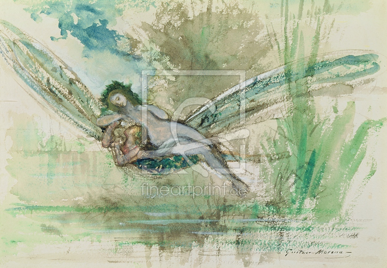 Bild-Nr.: 31002572 Dragonfly, c.1884 erstellt von Moreau, Gustave