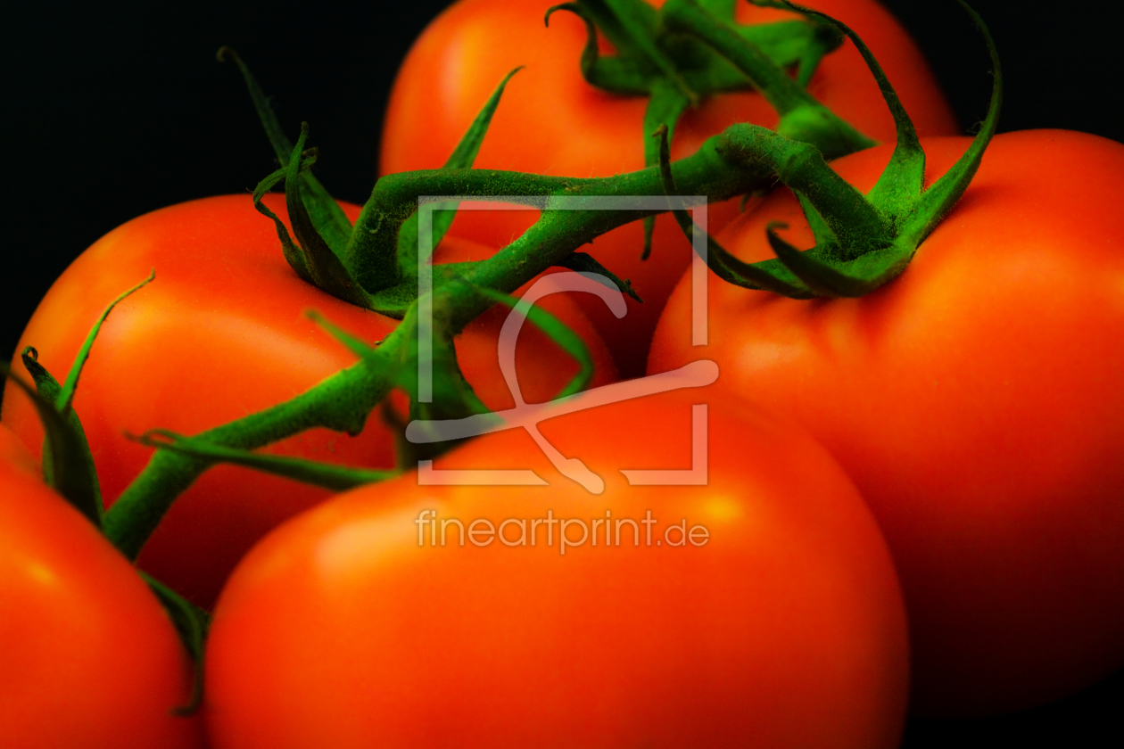 Bild-Nr.: 9311020 Tomaten erstellt von Uwe Jahn