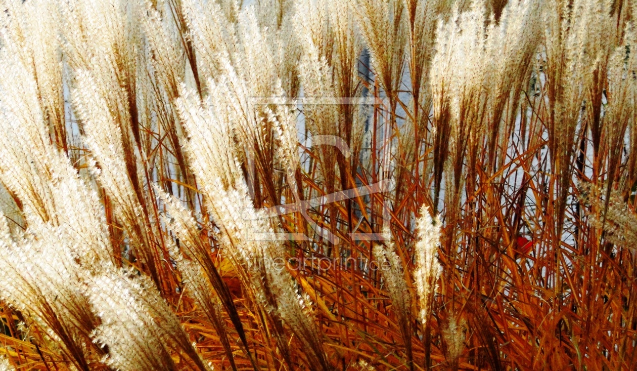 Bild-Nr.: 9429308 Herbstfarben erstellt von Renate Knapp