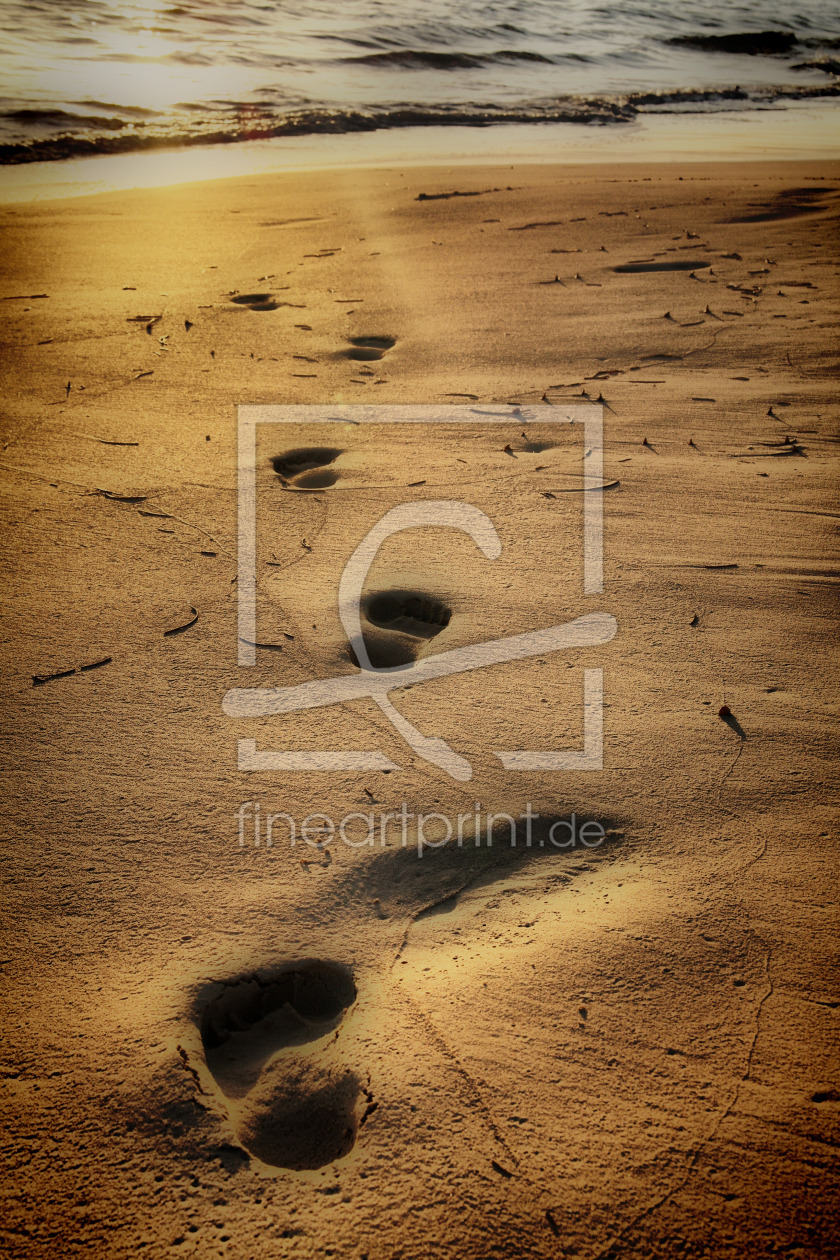 Bild-Nr.: 9493106 Spuren im Sand... erstellt von AntjeKirchhoff