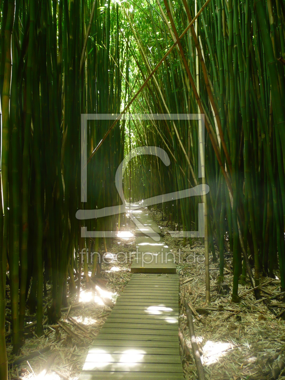 Bild-Nr.: 9542718 Bamboo Forest erstellt von kerstin783