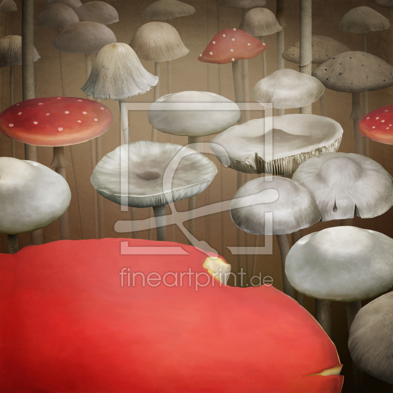 Bild-Nr.: 9596054 Mushrooms erstellt von Ann-Mei