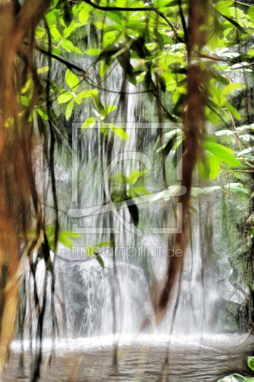 Bild-Nr.: 9627102 Rainforest erstellt von Galerie-Fotoeffekt