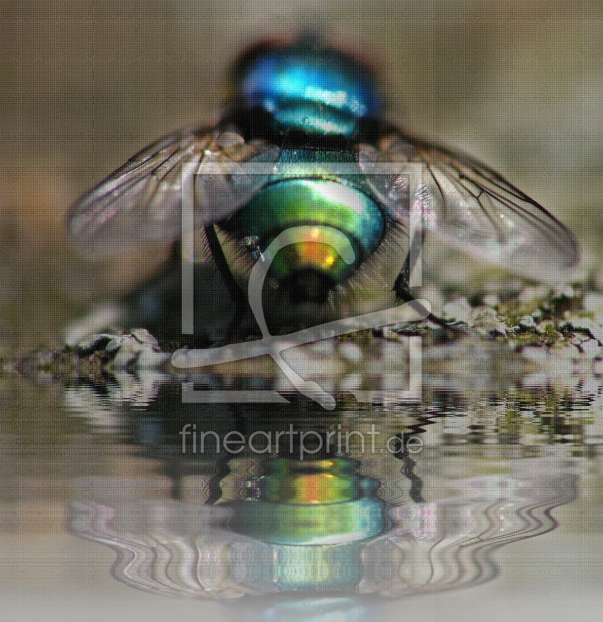Bild-Nr.: 9638818 ready for take off! erstellt von Birgit Presser
