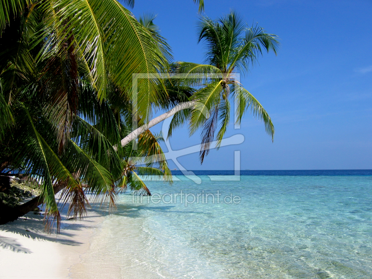 Bild-Nr.: 9651446 Palmenstrand erstellt von Malediven-Bilder-de
