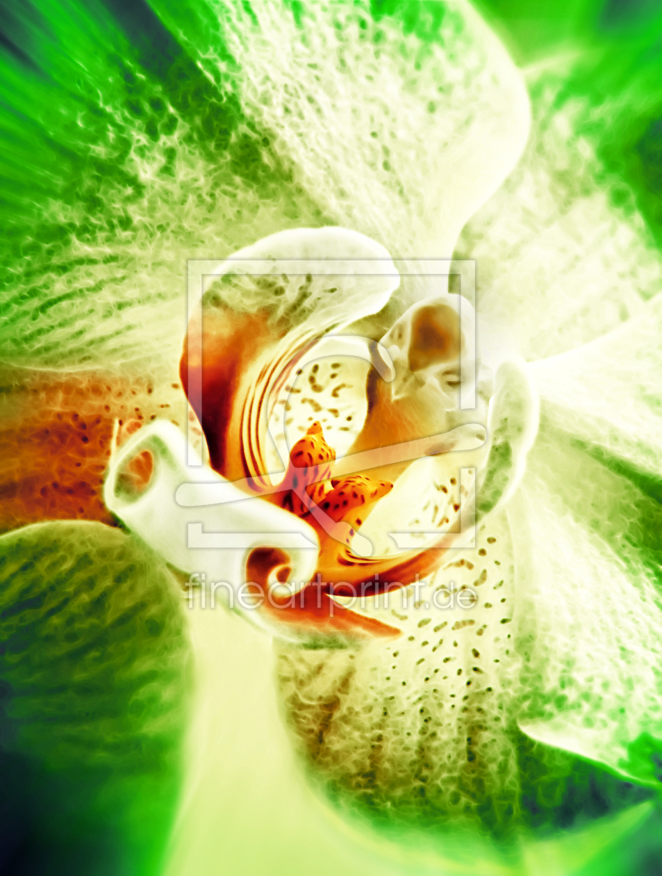 Bild-Nr.: 9843862 Orchidee  erstellt von Galerie-Fotoeffekt