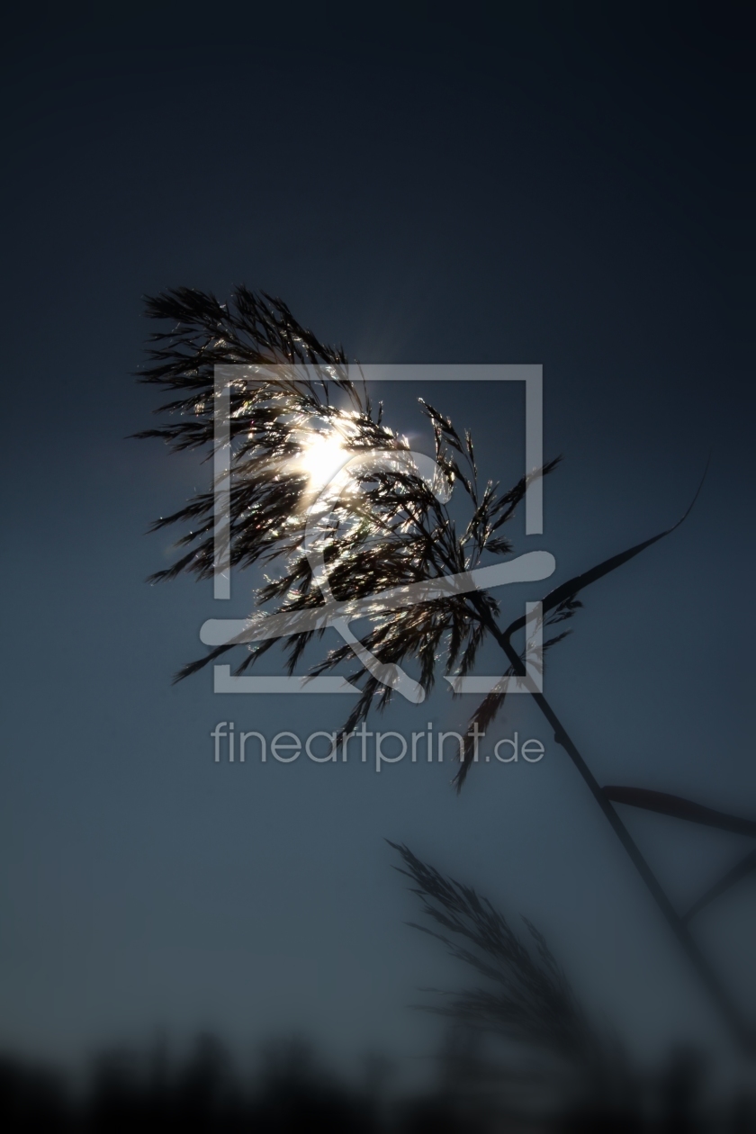 Bild-Nr.: 9850378 Die Sonne eingefangen erstellt von Renate Knapp