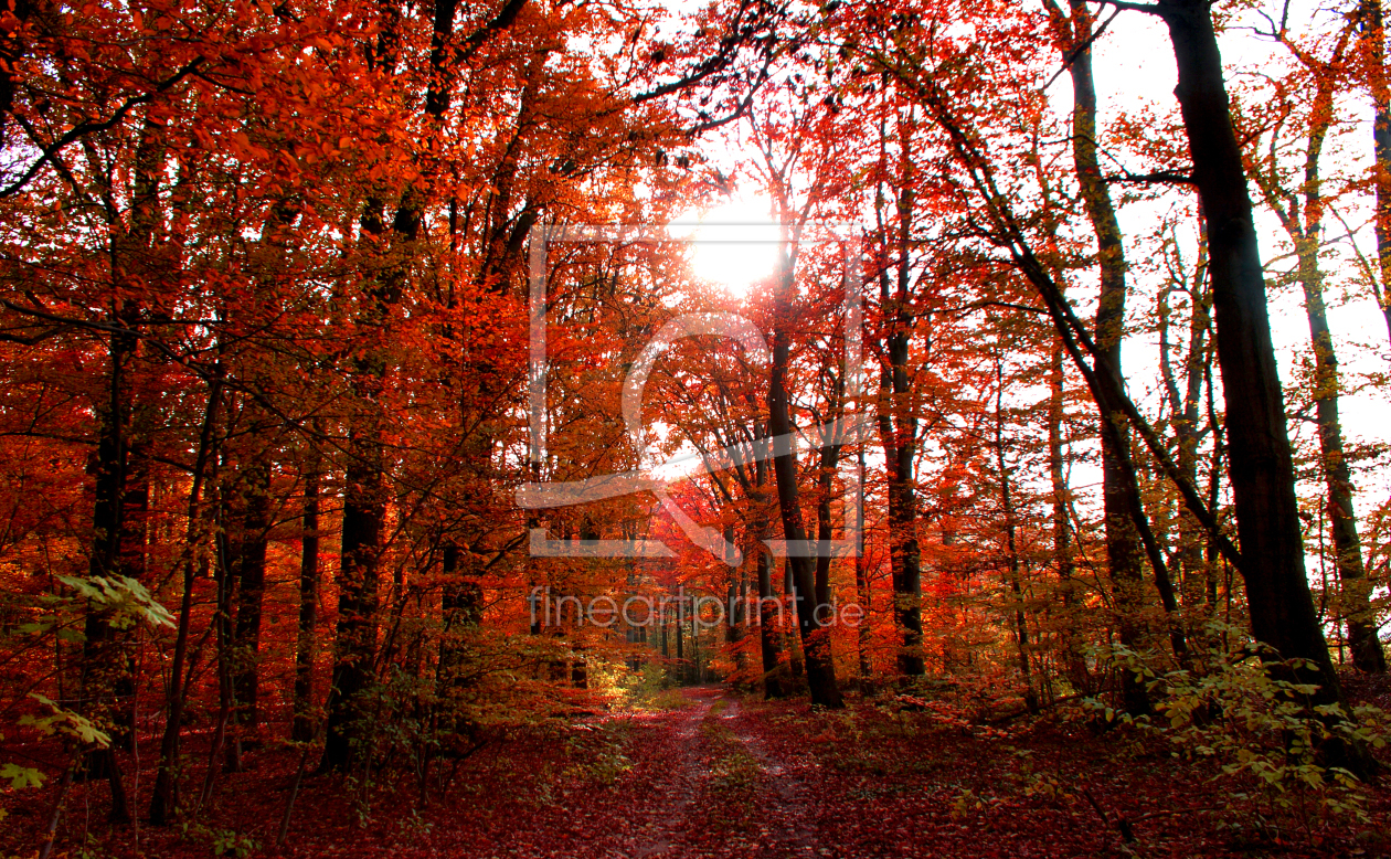Bild-Nr.: 9855360 Herbstwald erstellt von Pixelboy