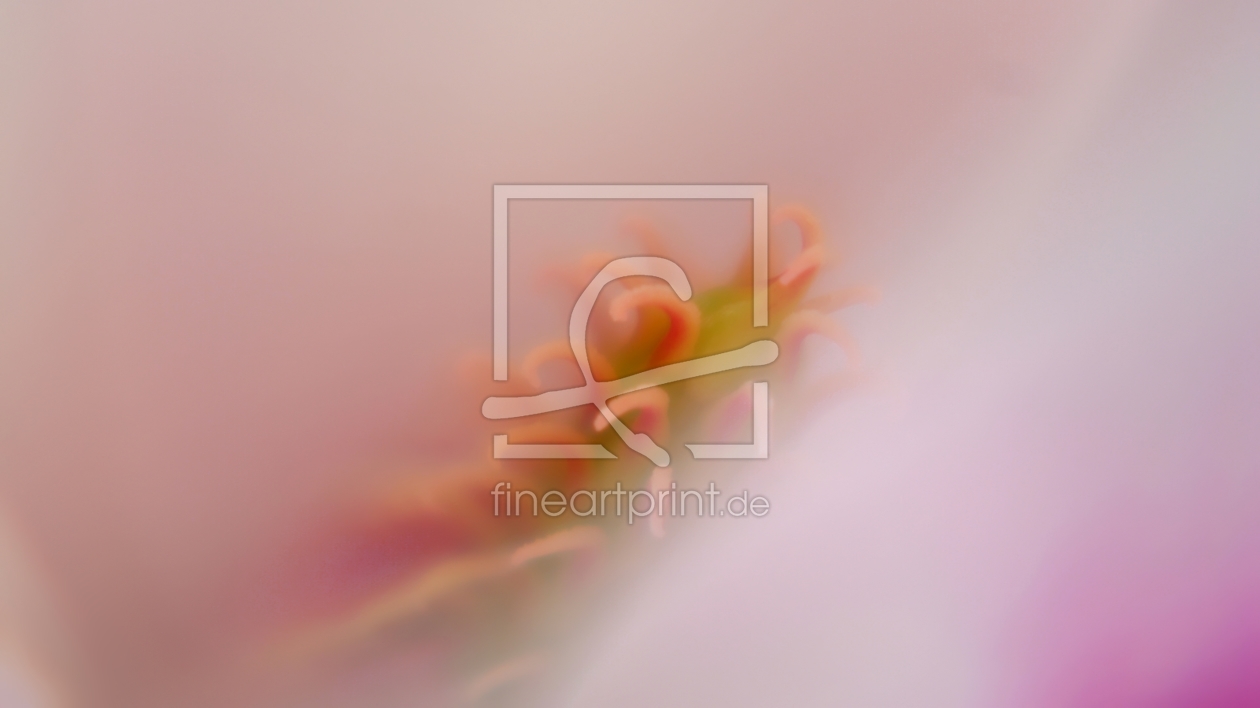 Bild-Nr.: 9899644 Tenderness erstellt von youhaveadream