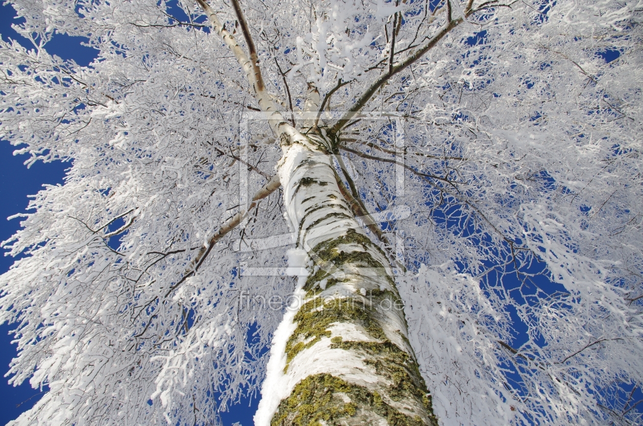 Bild-Nr.: 9913296 Schneewelten erstellt von Tanja Riedel