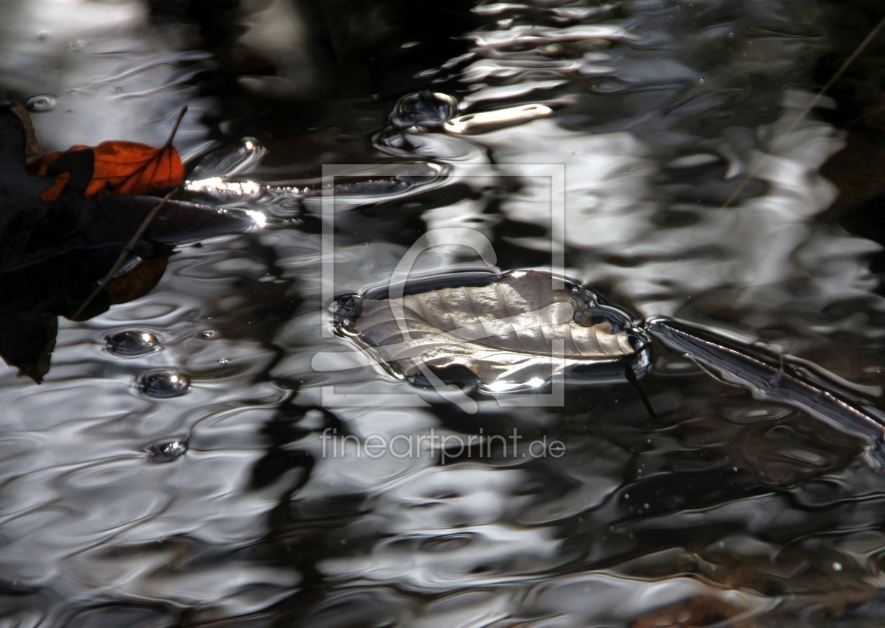 Bild-Nr.: 9940293 Wasserimpressionen erstellt von Renate Knapp