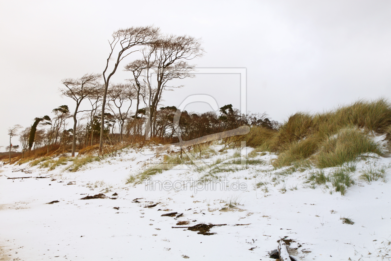 Bild-Nr.: 9993417 Weststrand II erstellt von FotoDeHRO