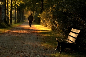 Herbst/9399592