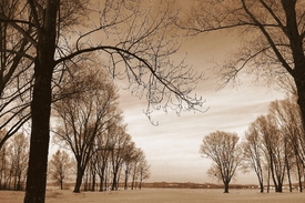 Winterruhe/9551674