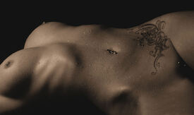 The Body/9552332