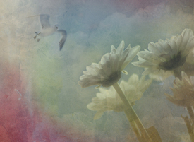 Summer feeling/9757356