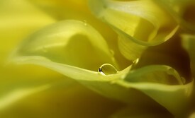 Wassertropfen/9816366