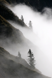 Aufsteigender Nebel im Gebirge/9838218