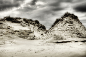 Dünen Impressionen XIV/9970277