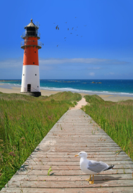 Der Weg zum Strand/10133292