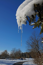Wintertime/11012622