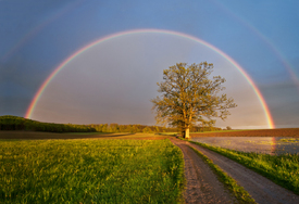 Regenbogen/11056423