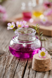 spa-decoration/11079693