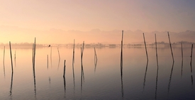 Morgenstimmung/11176188