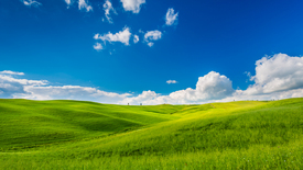 Frühlingsfarben/11285372