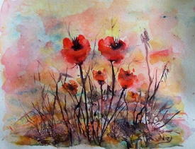 Mohnblumen/11404891