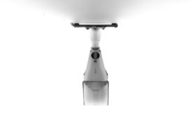 the lantern/11507526