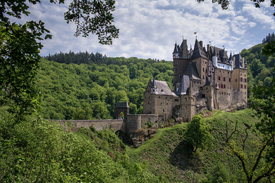 the castle 2/11508802