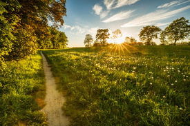 Sonnenweg  /11910491