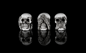 Skull/12329376